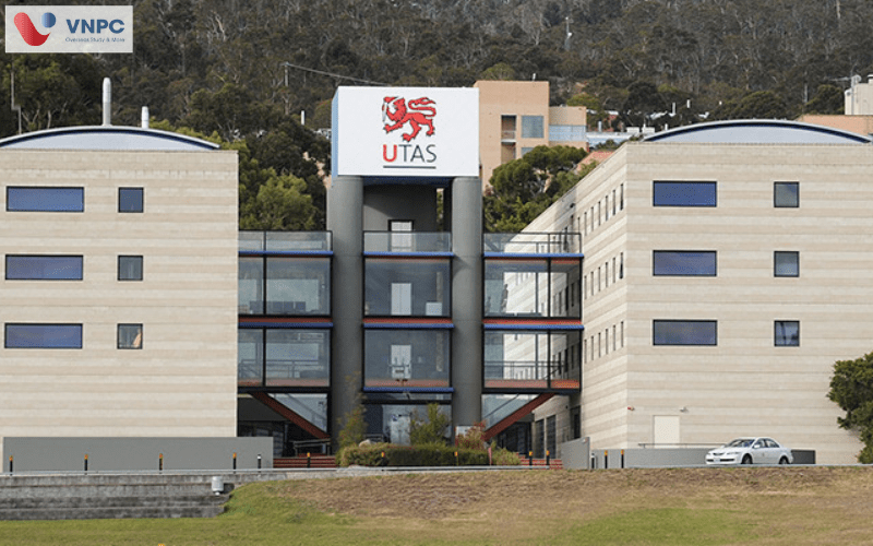 University of Tasmania